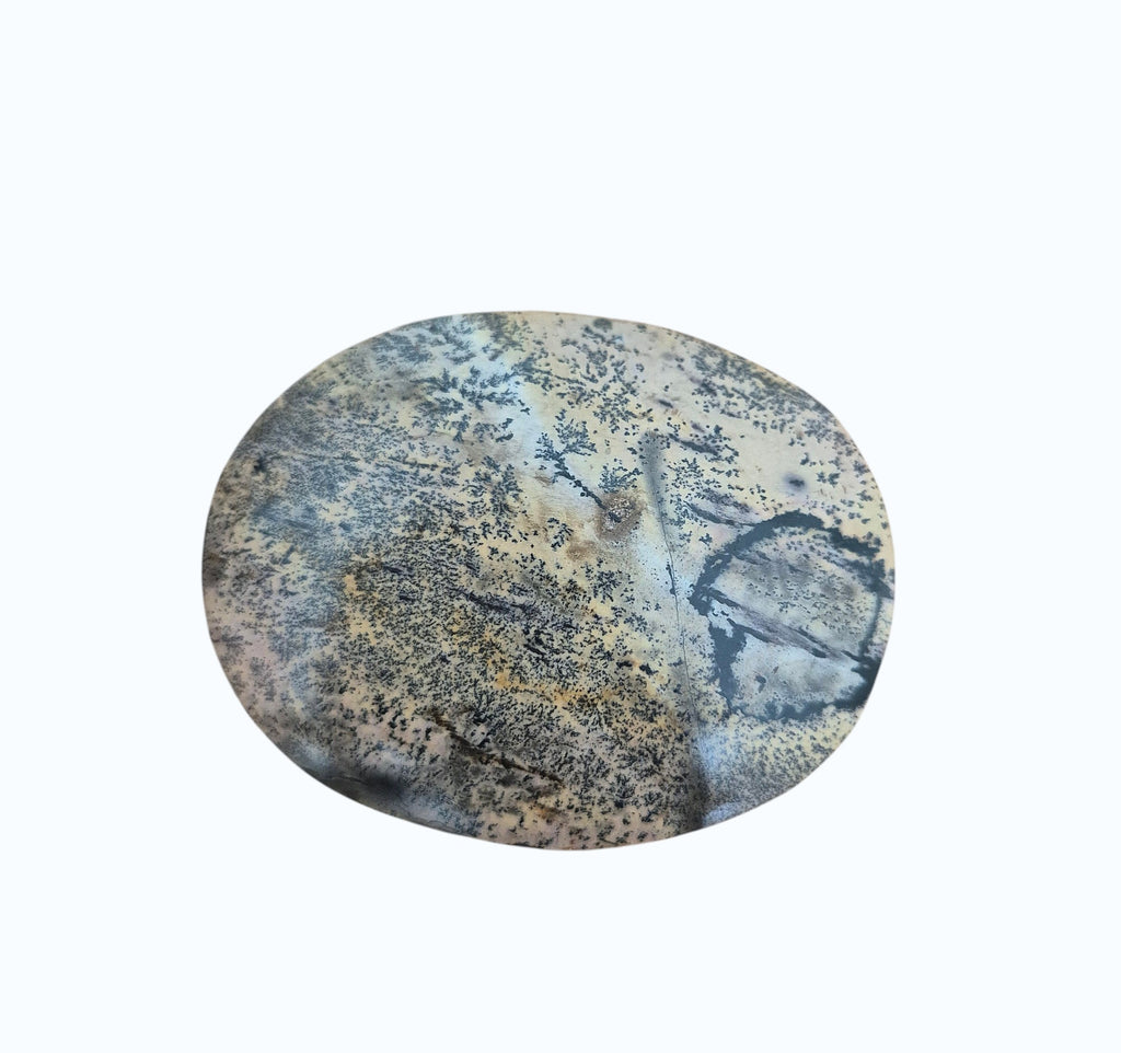 Picture Jasper Palm Stone