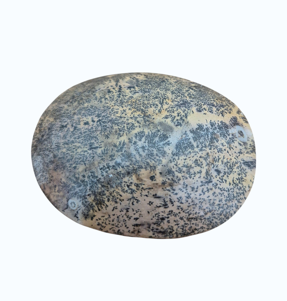 Picture Jasper Palm Stone