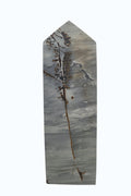 Picture Jasper Tower