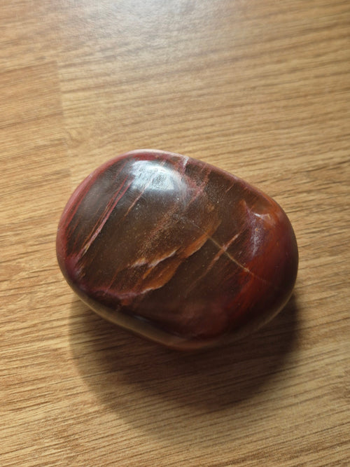 Ancient Fossilised Wood Palm Stone