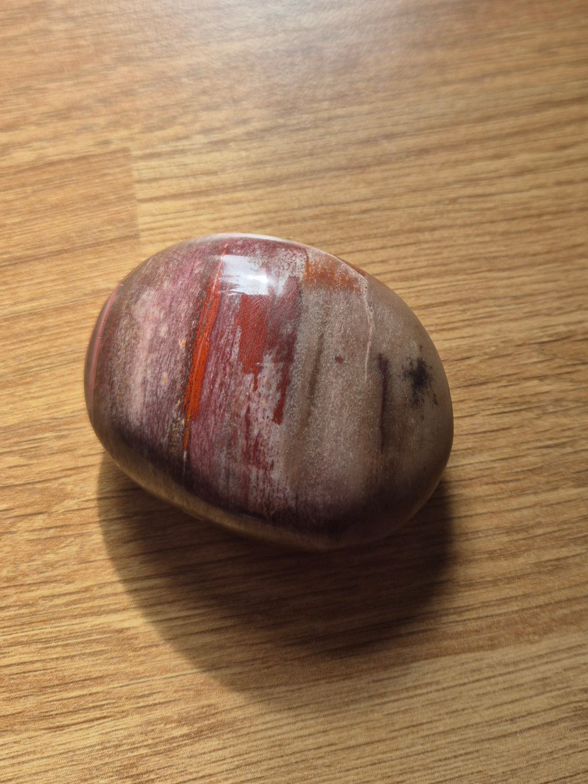Ancient Fossilised Wood Palm Stone