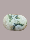 Moss Agate Palm Stone