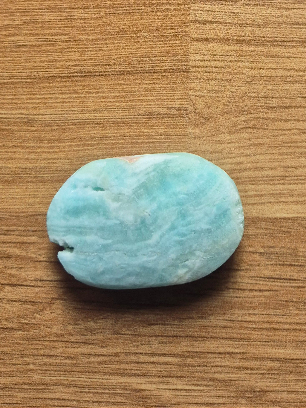 Small Caribbean Calcite Palm Stone