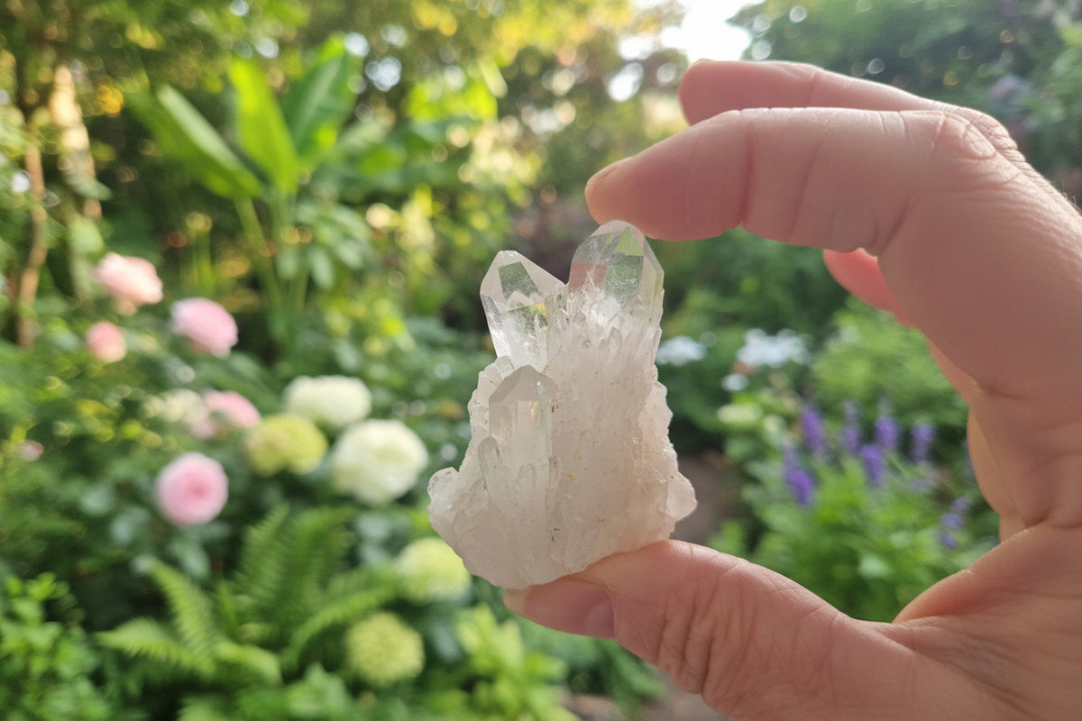 Premium High-Clarity Clear Quartz Cluster | Master Healer